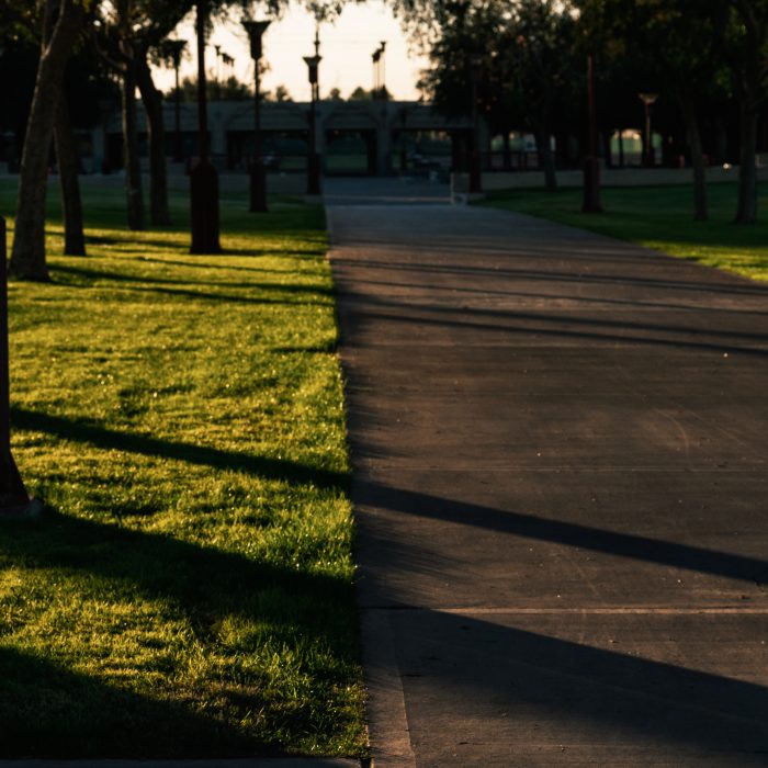 Photograph of a path lined by grass with shadows across the ground diagonally.