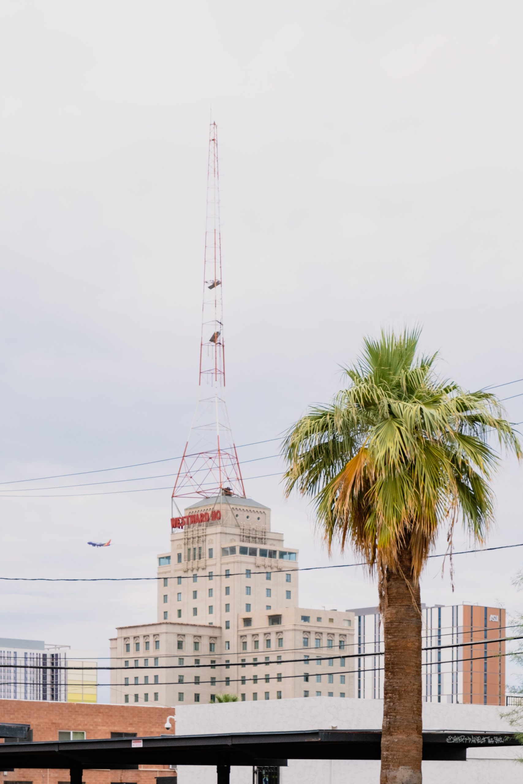 Photograph of Phoenix's Westward Ho building with a palm tree in the foreground to the right.