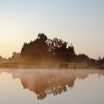 Rising mist