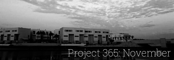 Project 365: November
