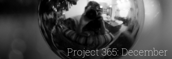 Project 365: December