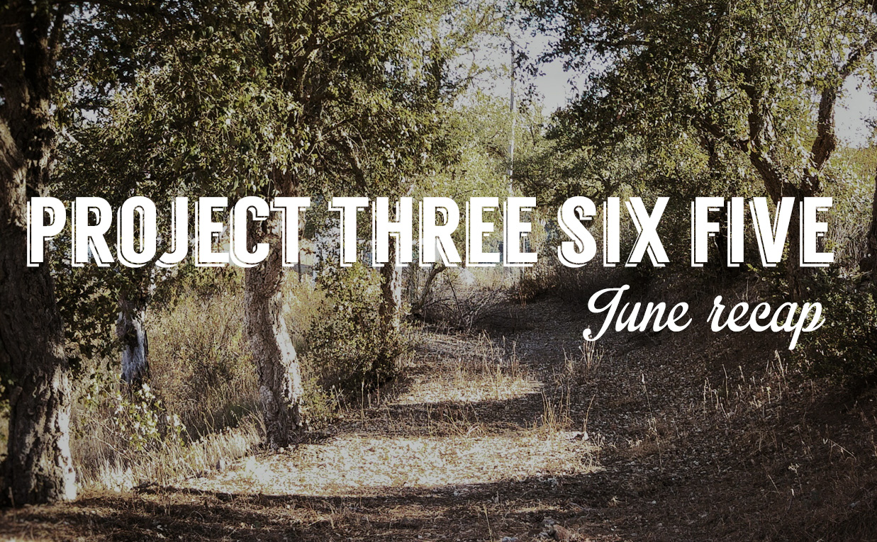 June Project 365