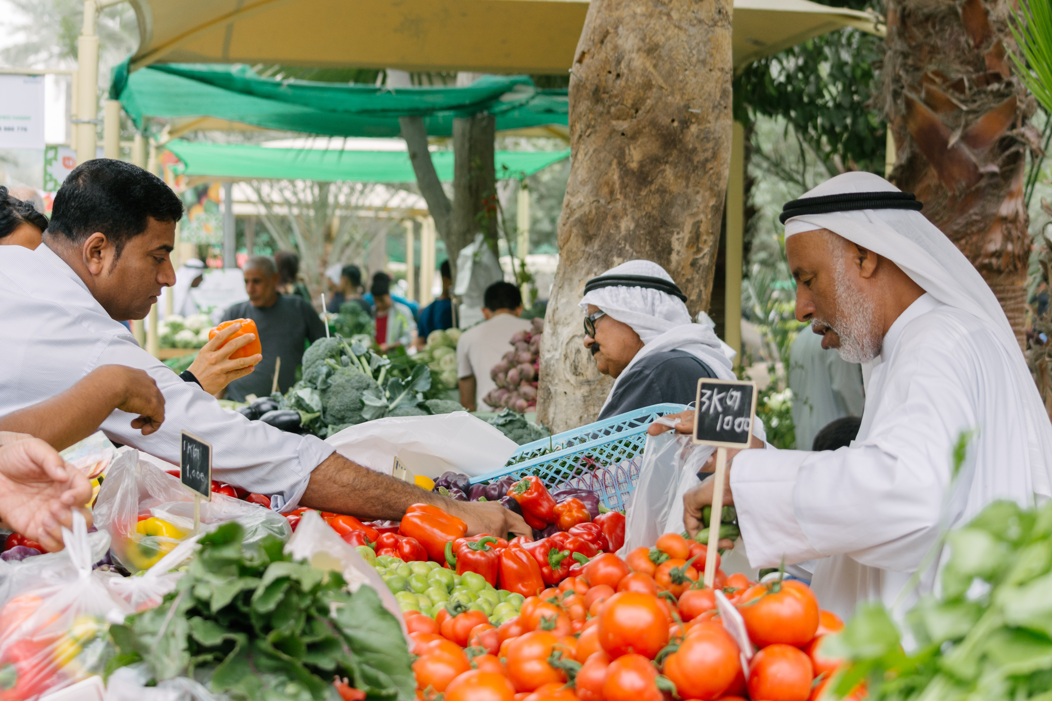 Budaiya Farmers Market