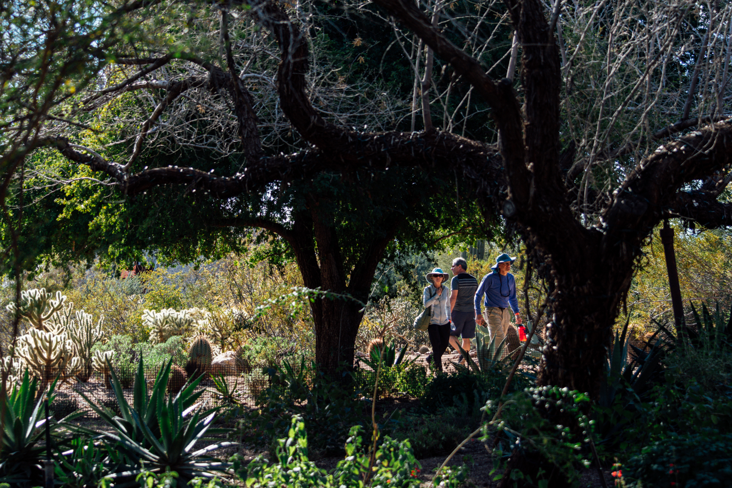 Photo of people at the botanical gardens.