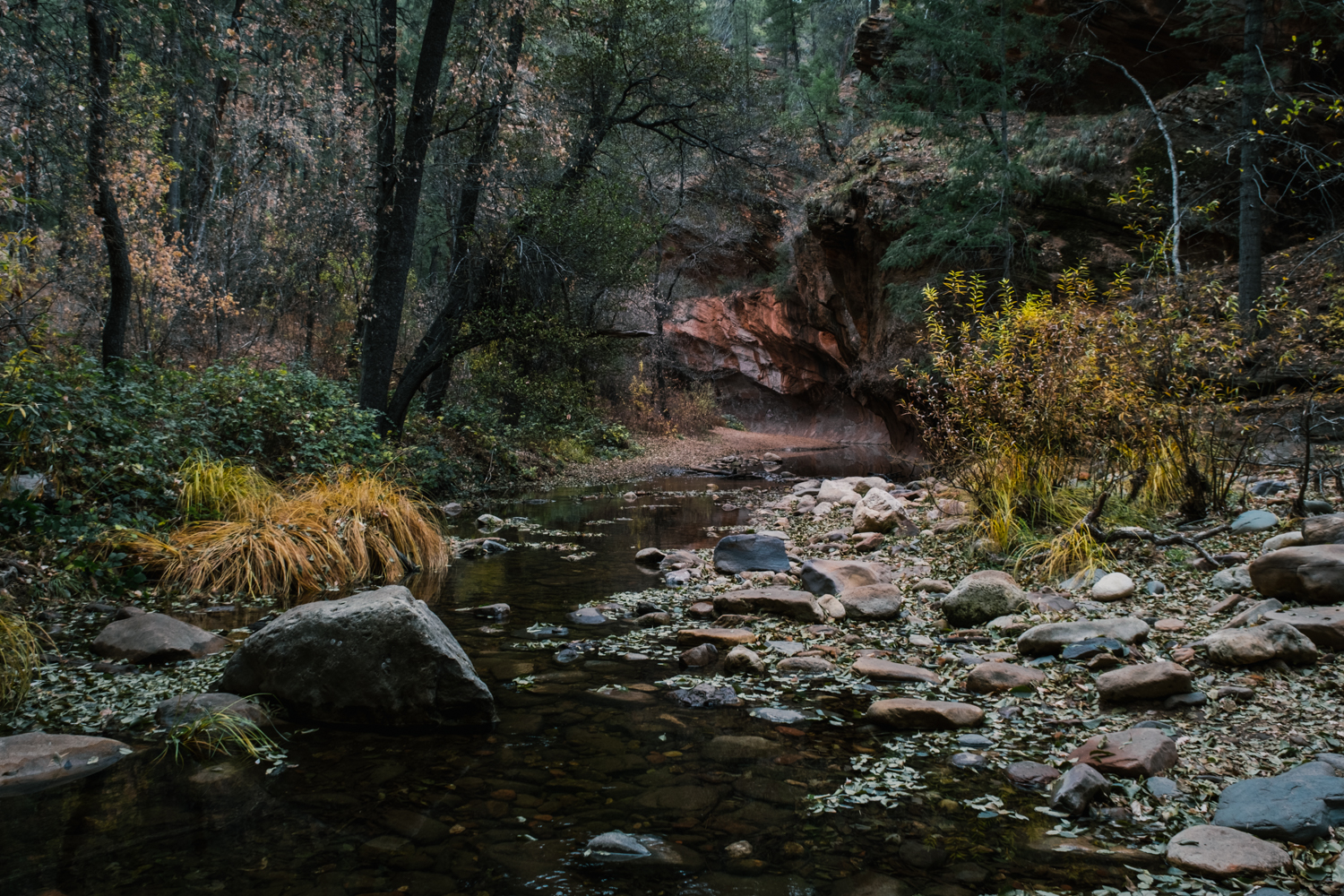 Photo of a creek.