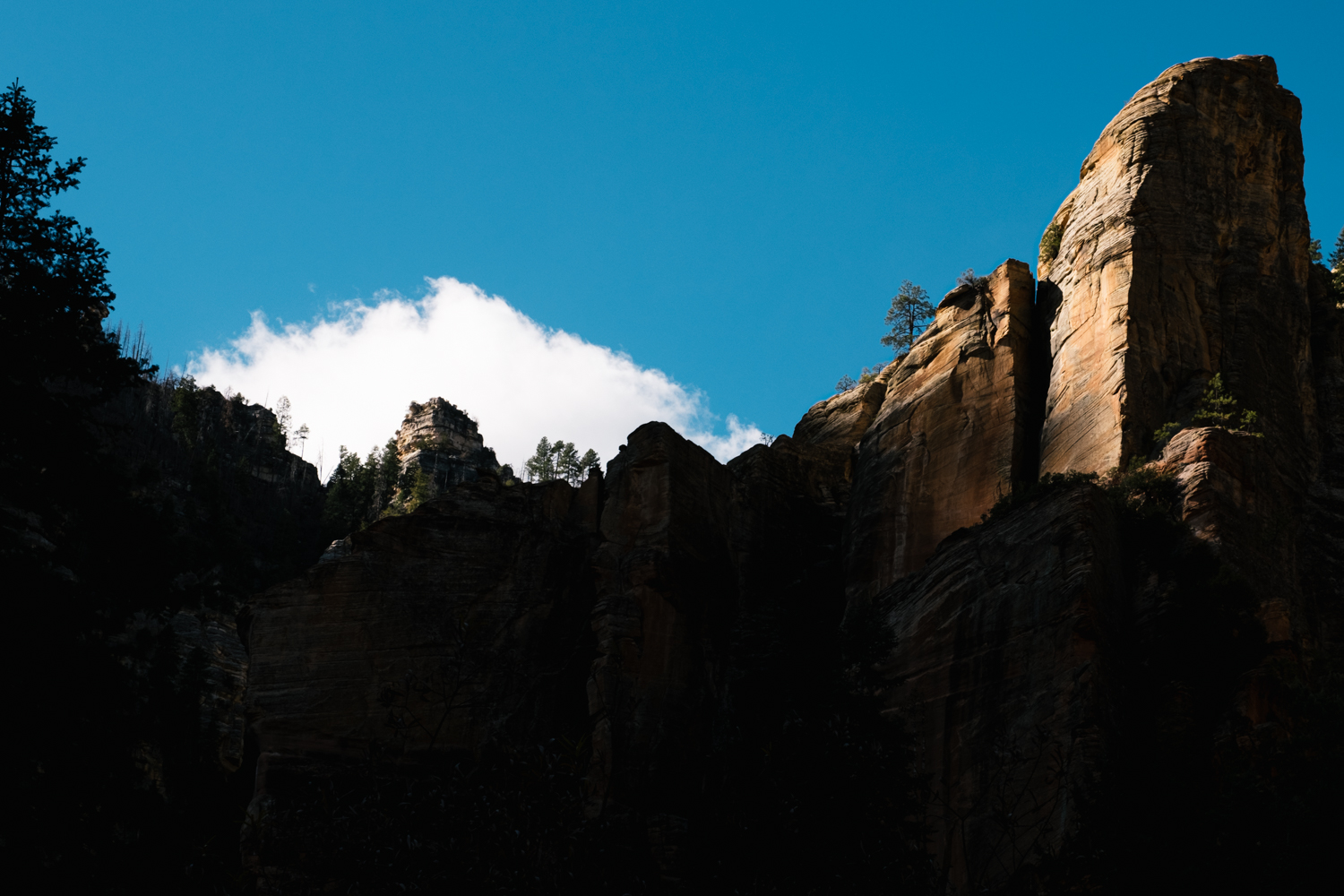 Photo of the tops of Sedona's red rocks.