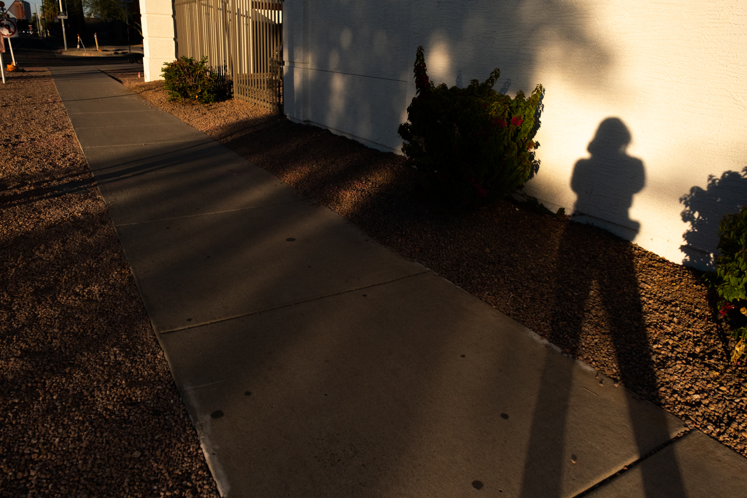 Photo of a person's silhouette.