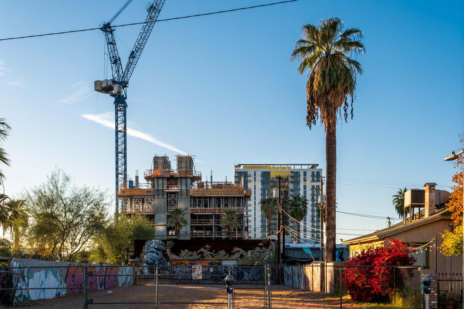 Photo of an empty lot with a palm tree and construction work.