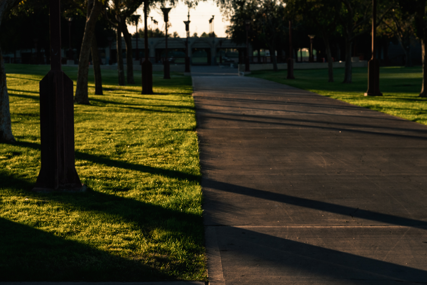 Photo of the shadows of trees.