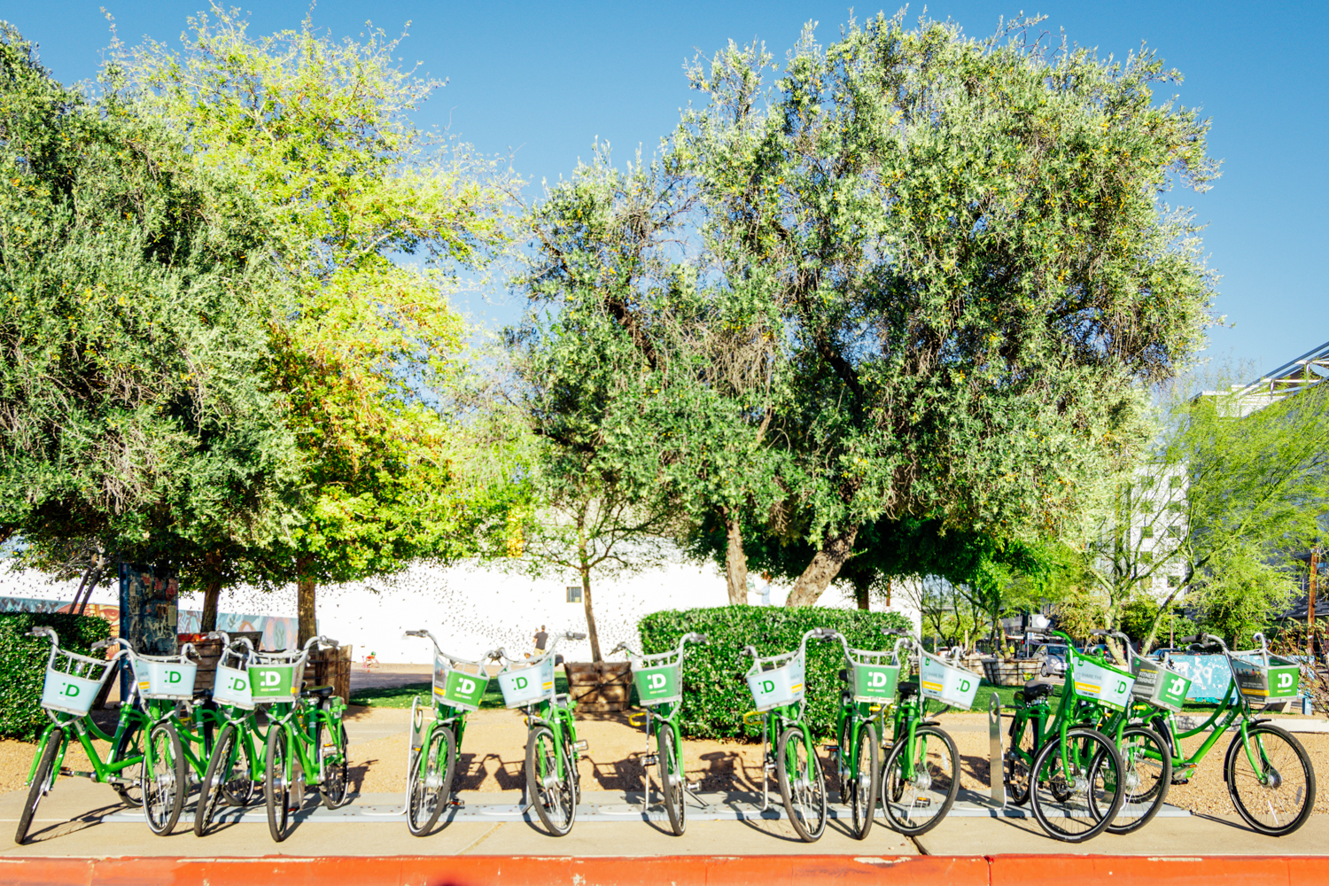 Photo of lined up bicycles.