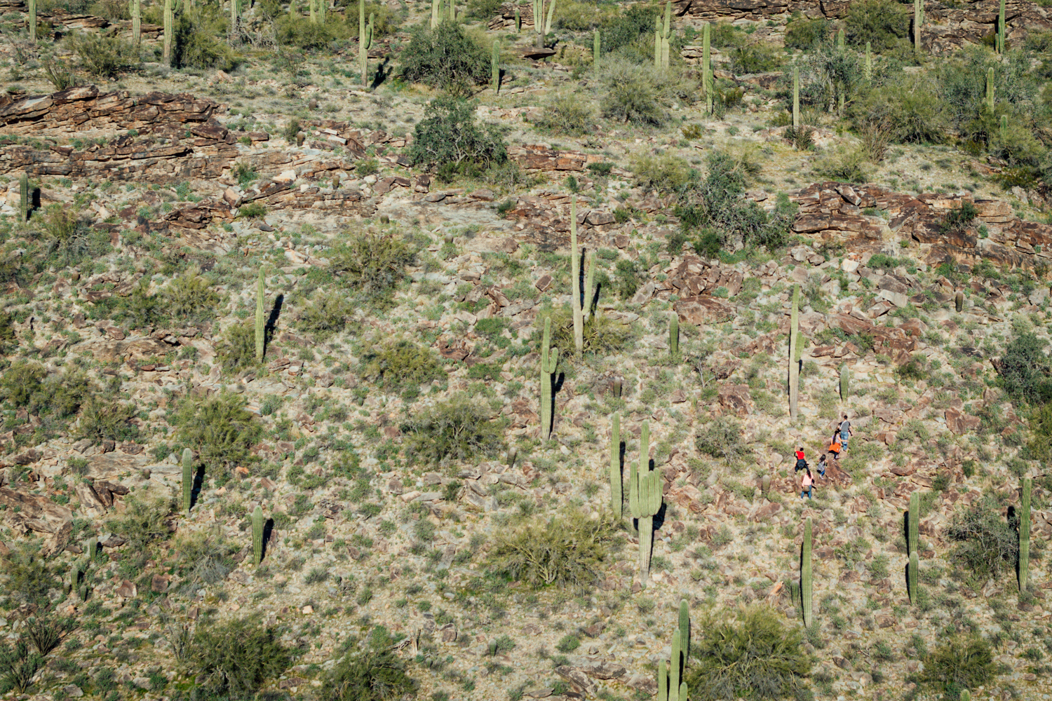 Photo of a family hiking along a mountainside.